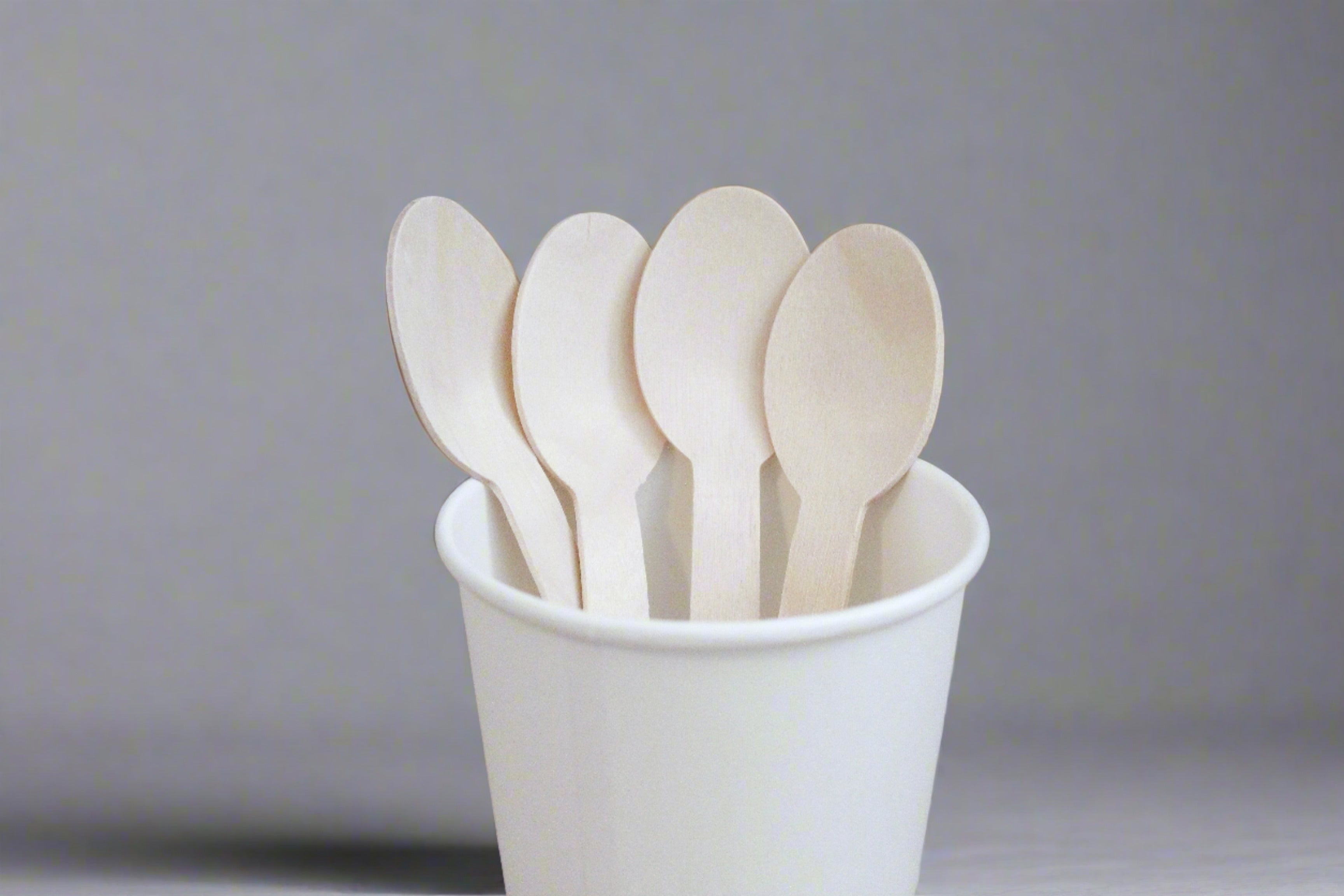 Wooden Spoon 165mm (1000pcs)