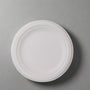 Bagasse 7 Round Plate