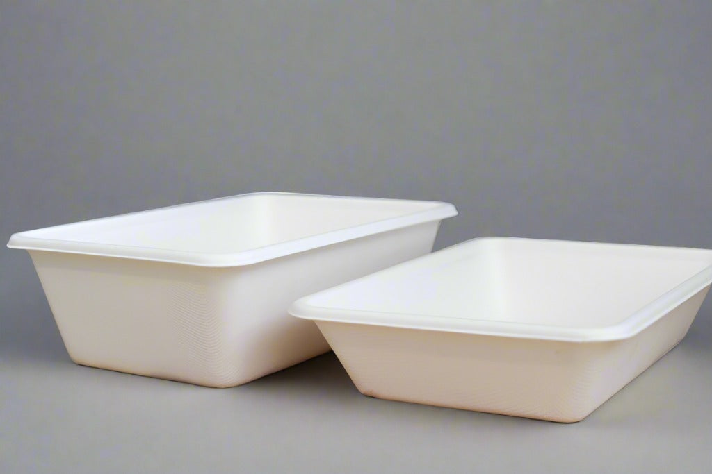 Bagasse 800Ml Rectangle Tray Food Containers