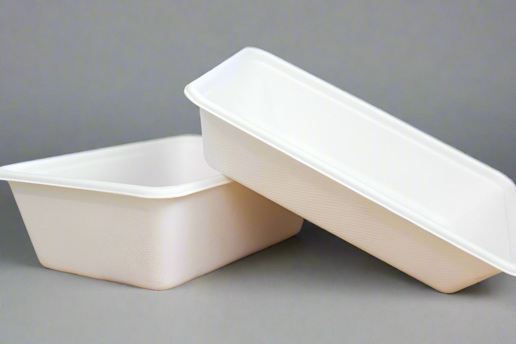 Bagasse 800Ml Rectangle Tray Food Containers