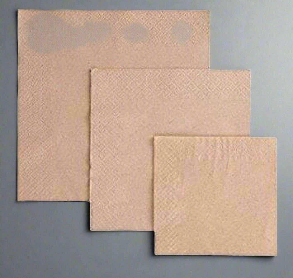 Kraft 23X23Cm 2-Ply Napkin (2 000Pcs) Napkins